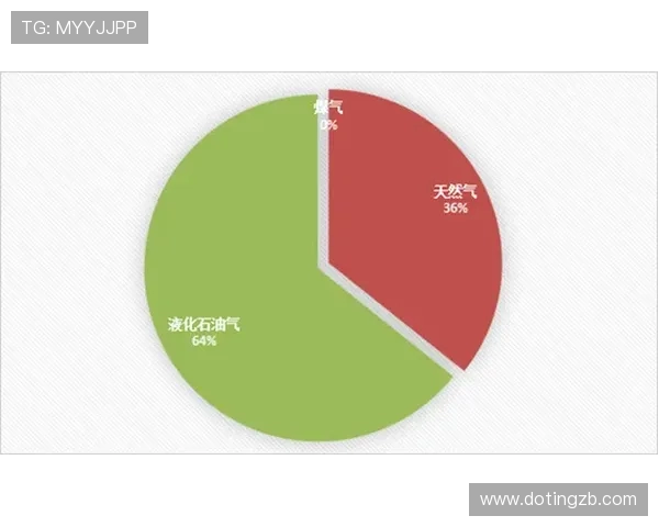 数据分析:液化天然气市场表现及其影响因素探讨